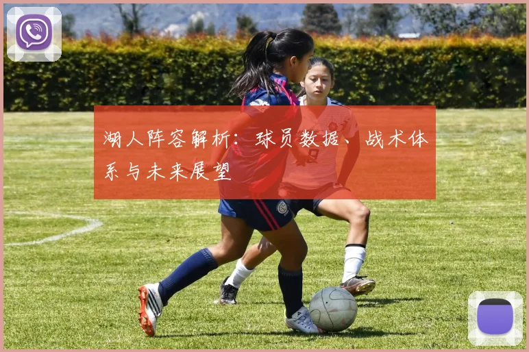 湖人阵容解析：球员数据、战术体系与未来展望